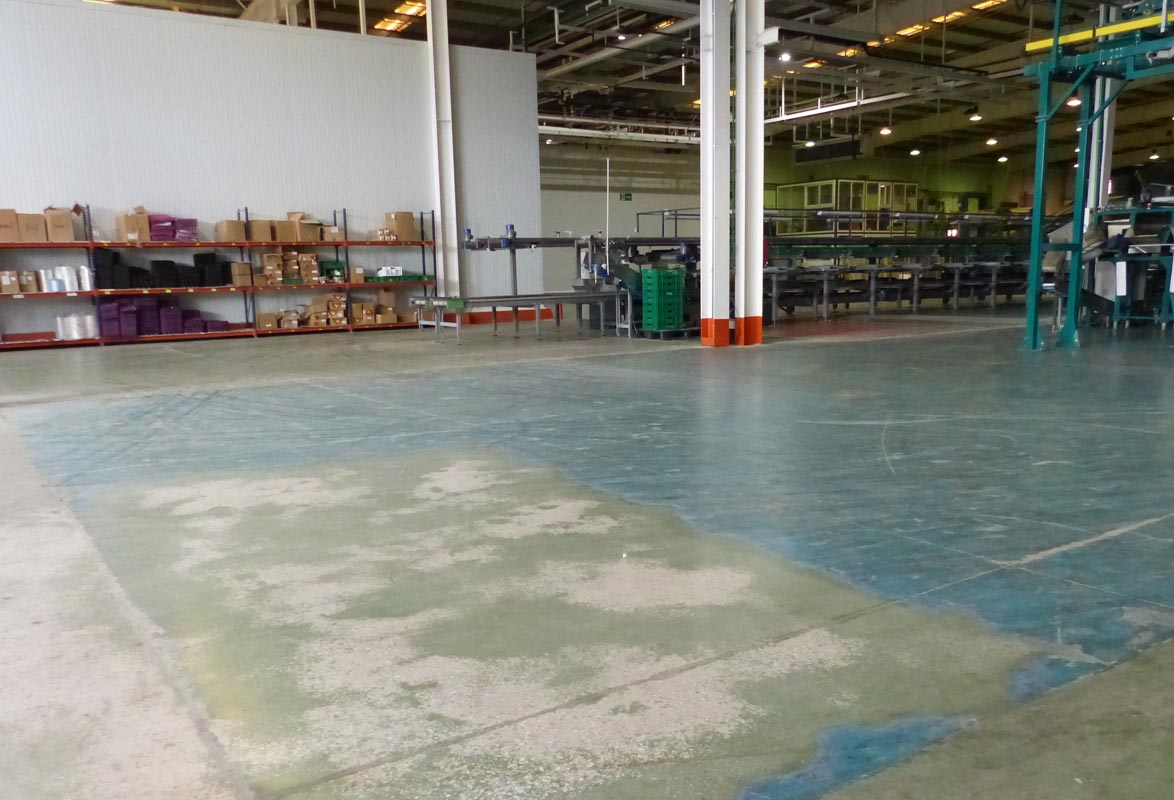 Montosa problem with old industrial concrete warehouse floor